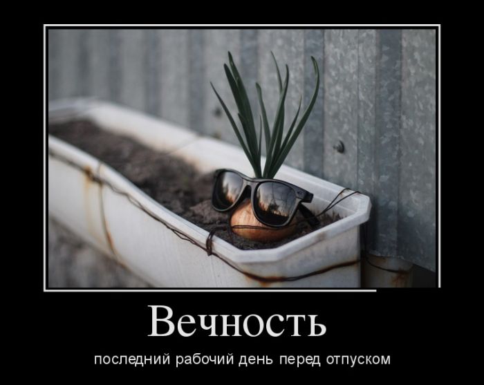 Вечность
