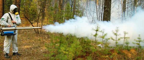 82548277 4 644x461 trebuetsya-dezinfektor-rabota rev002