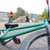 IMG 0431 IMG 0431