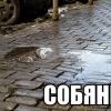 С4