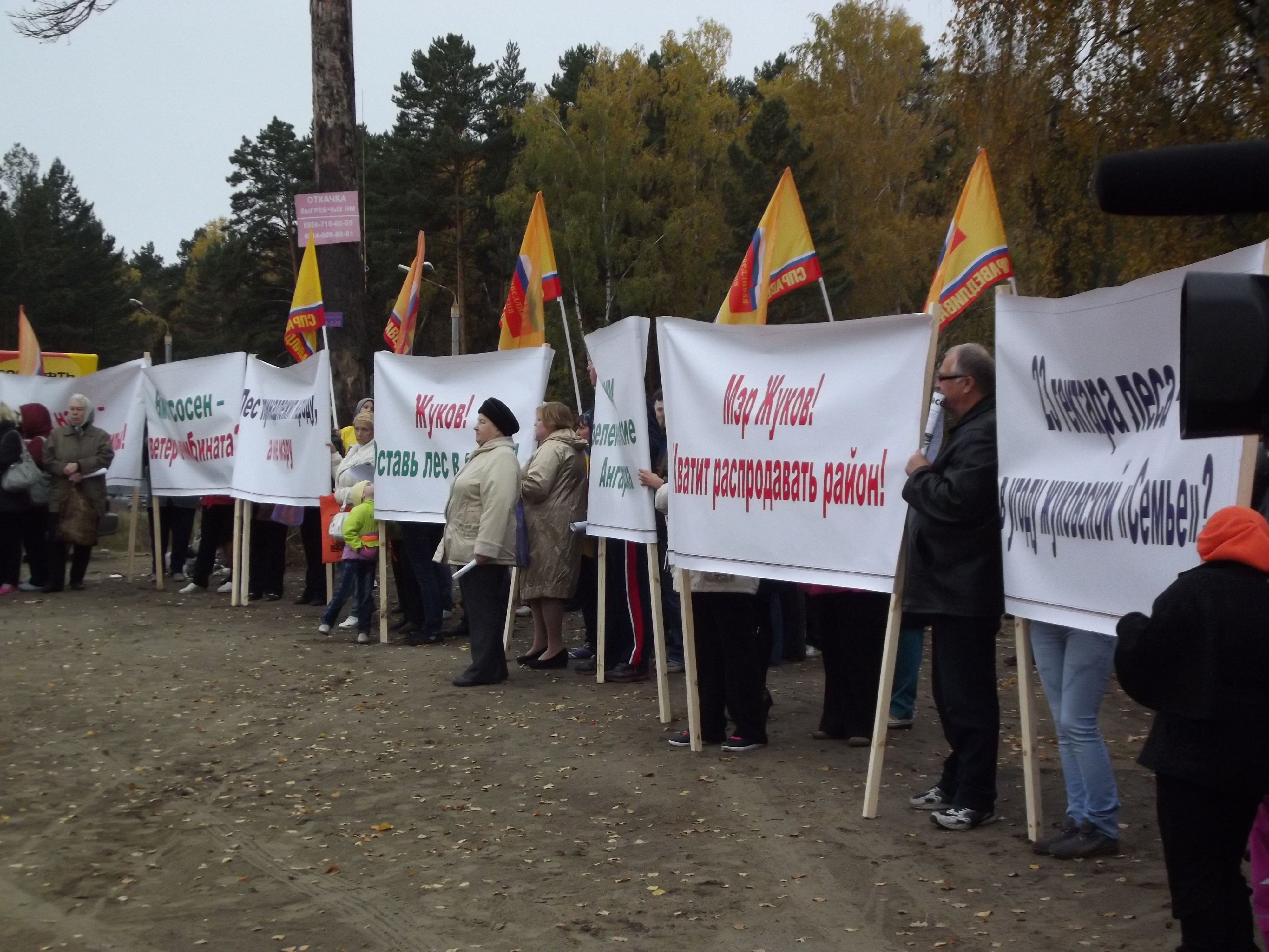 Собрание против планов вырубки соснового леса