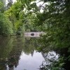 Мостик через старый пруд в графском парке