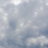 осень... журавли летят на юг