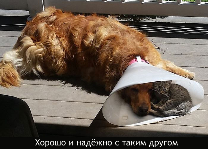 Такой-друг