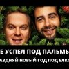 Празднуй Новый год Празднуй Новый год