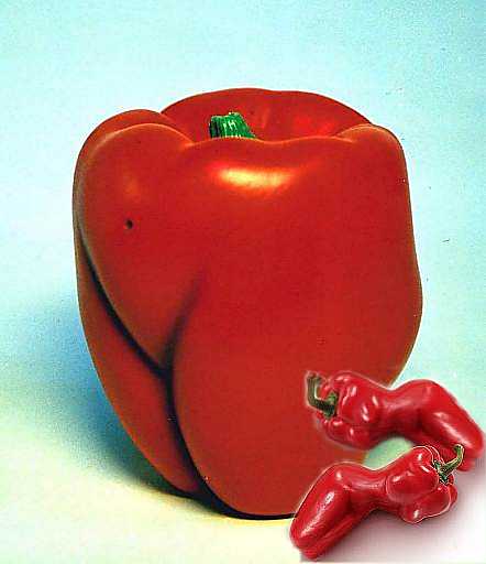 Женский вар