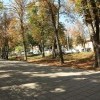 IMG 4514 IMG 4514