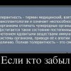 Толерантность