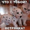 Что с тобой? Что с тобой?