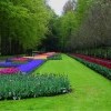 Кекенхоф парк Кекенхоф парк