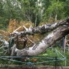 при Жукове такого не было...