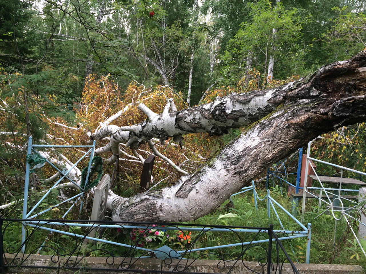при Жукове такого не было...