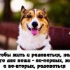 Жить и радоваться