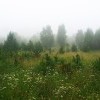 За Одинском За Одинском