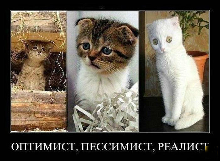 Оптимист