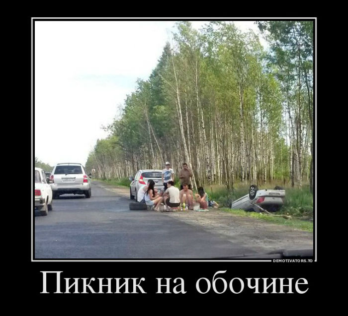 Пикник на обочине