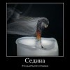 Седина Седина