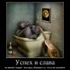 Успех и слава Успех и слава