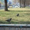 IMG 2417 IMG 2417