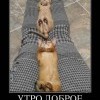 Утро доброе Утро доброе