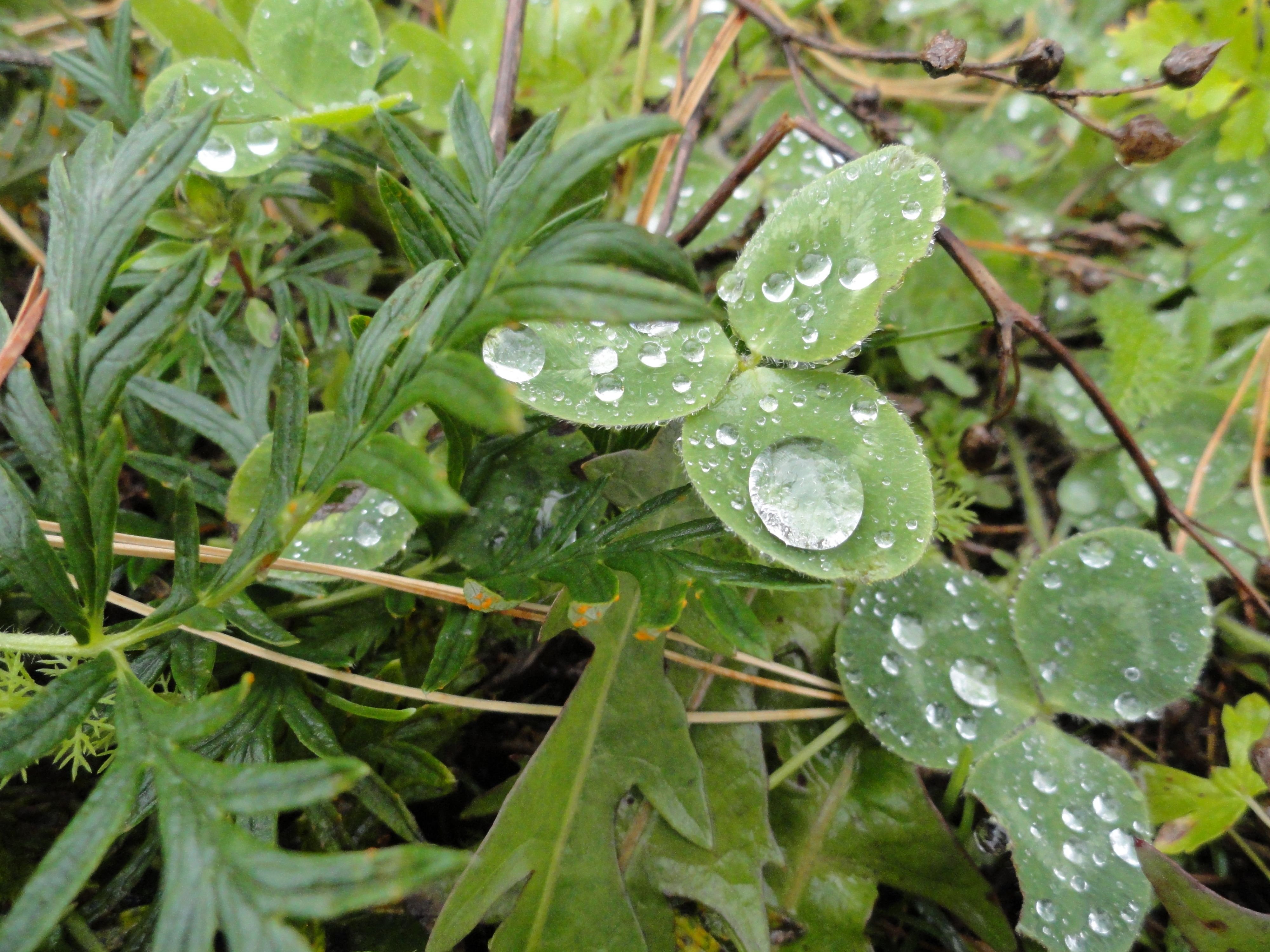 DSC00941