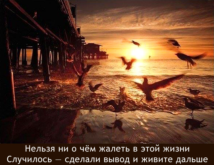9096047r0a