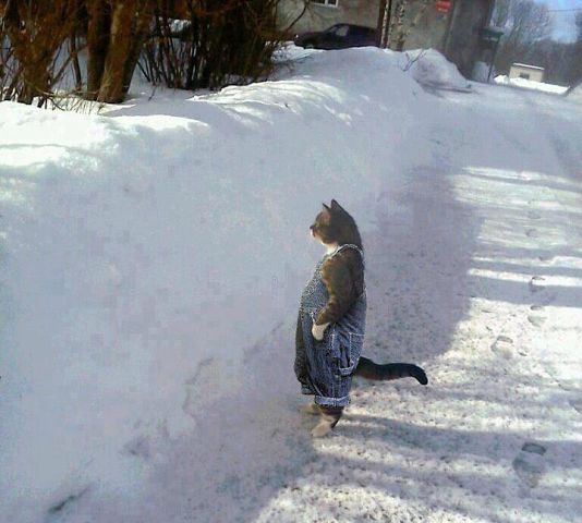 И что там у соседей происходит?))