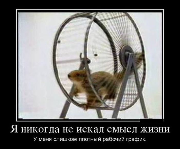Плотный рабочий график