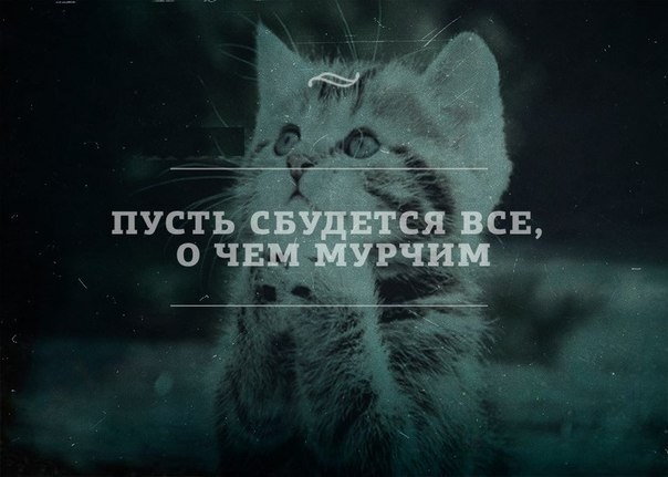 Пусть сбудется