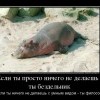 Философ Философ