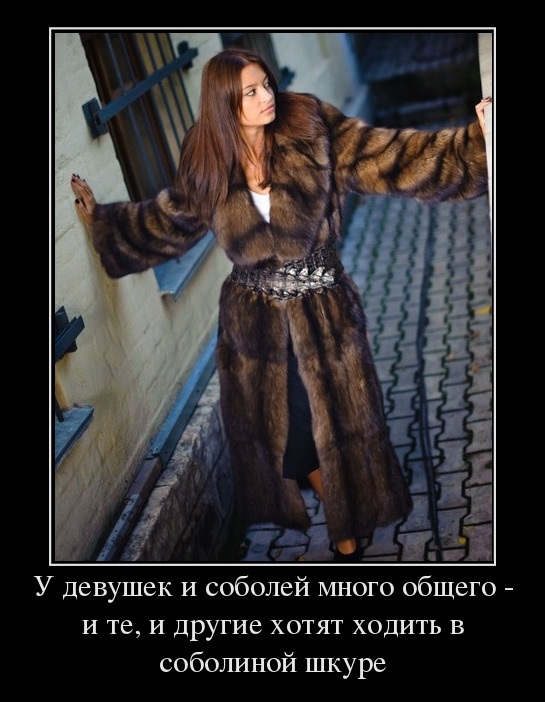 Много общего в соболиной шкуре