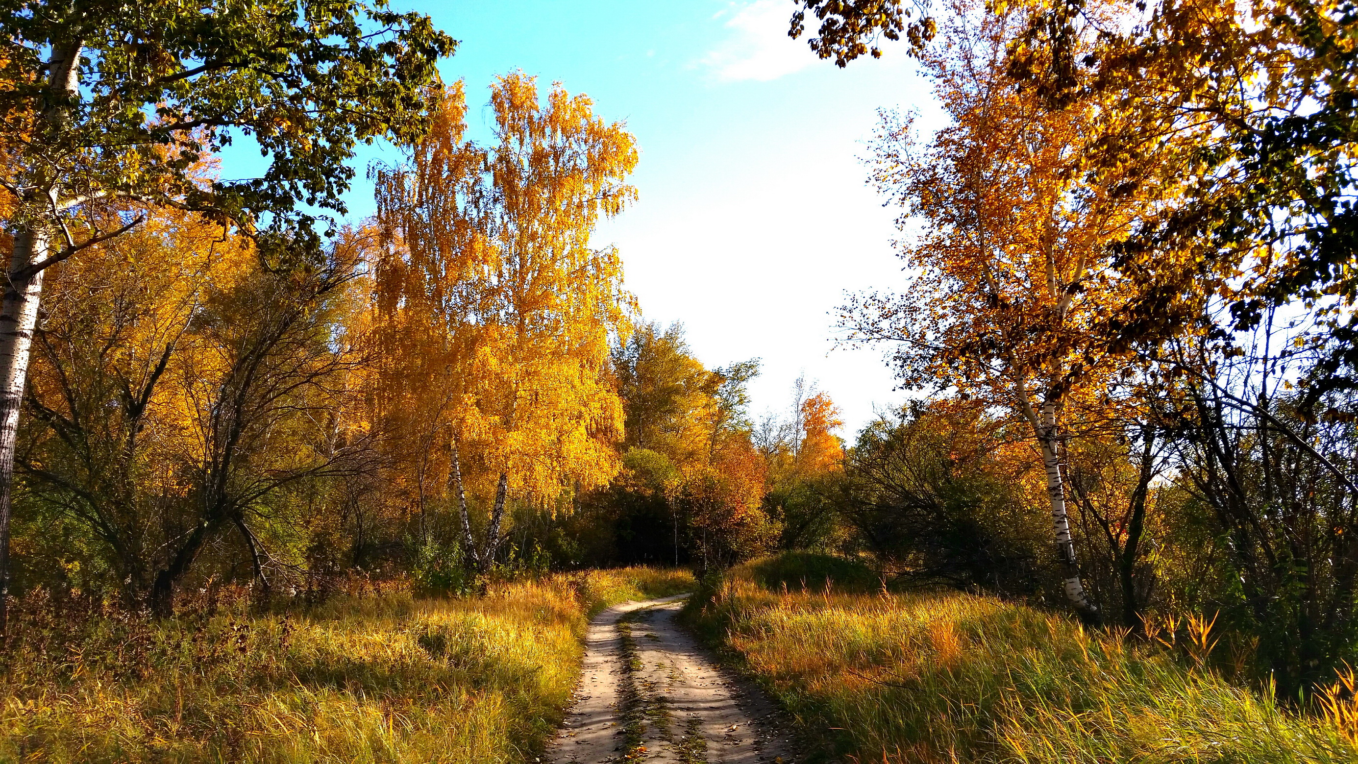 осенневоскресное)))))