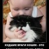 Враги кошек Враги кошек