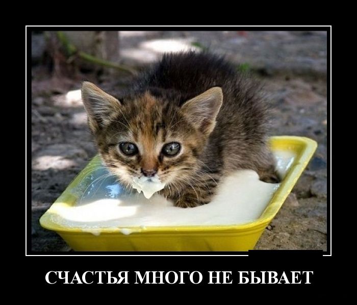 Счастья-много