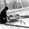 дрова