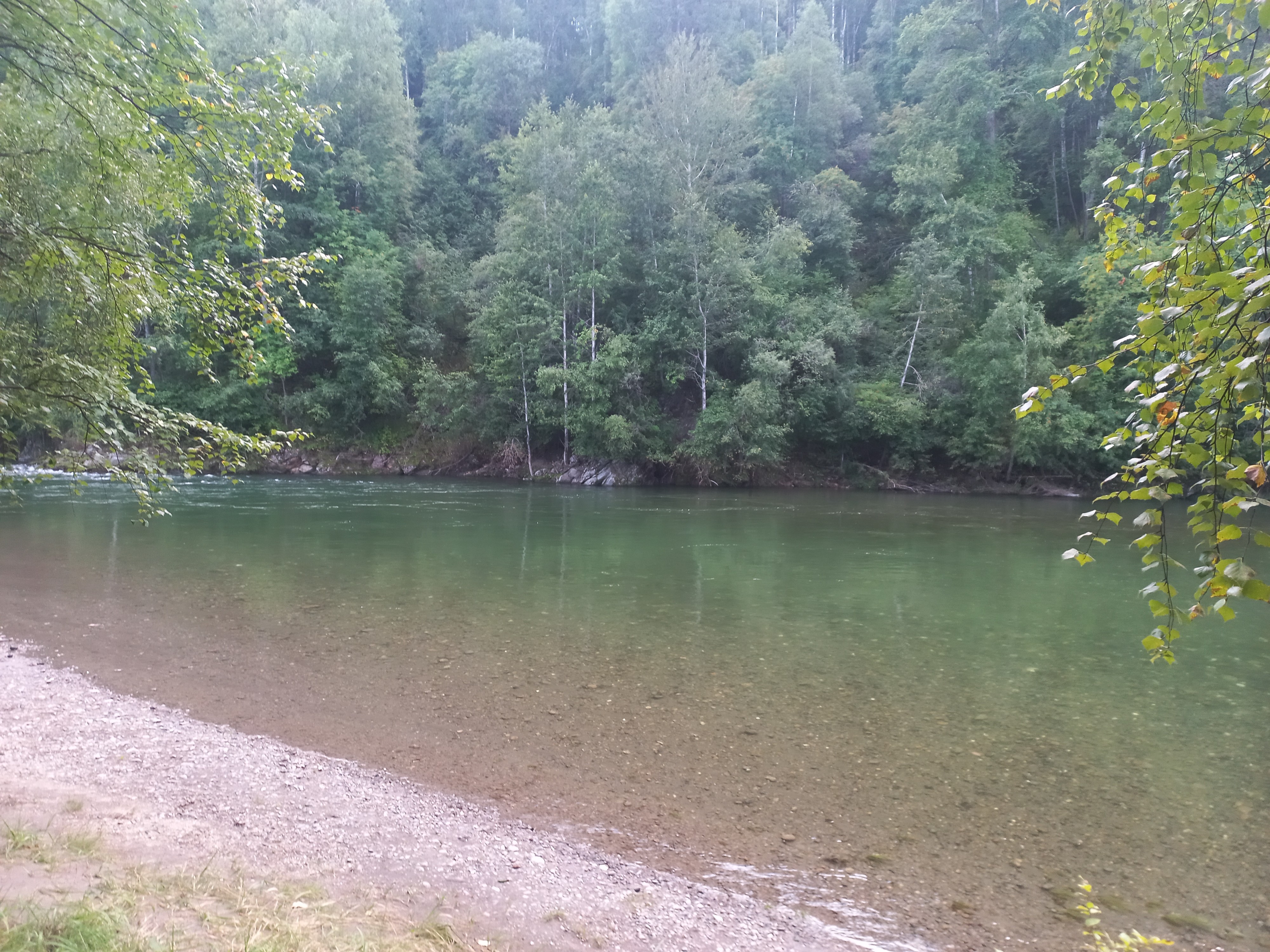 Зелёная река