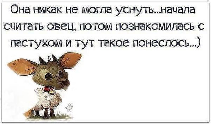 Счет овец