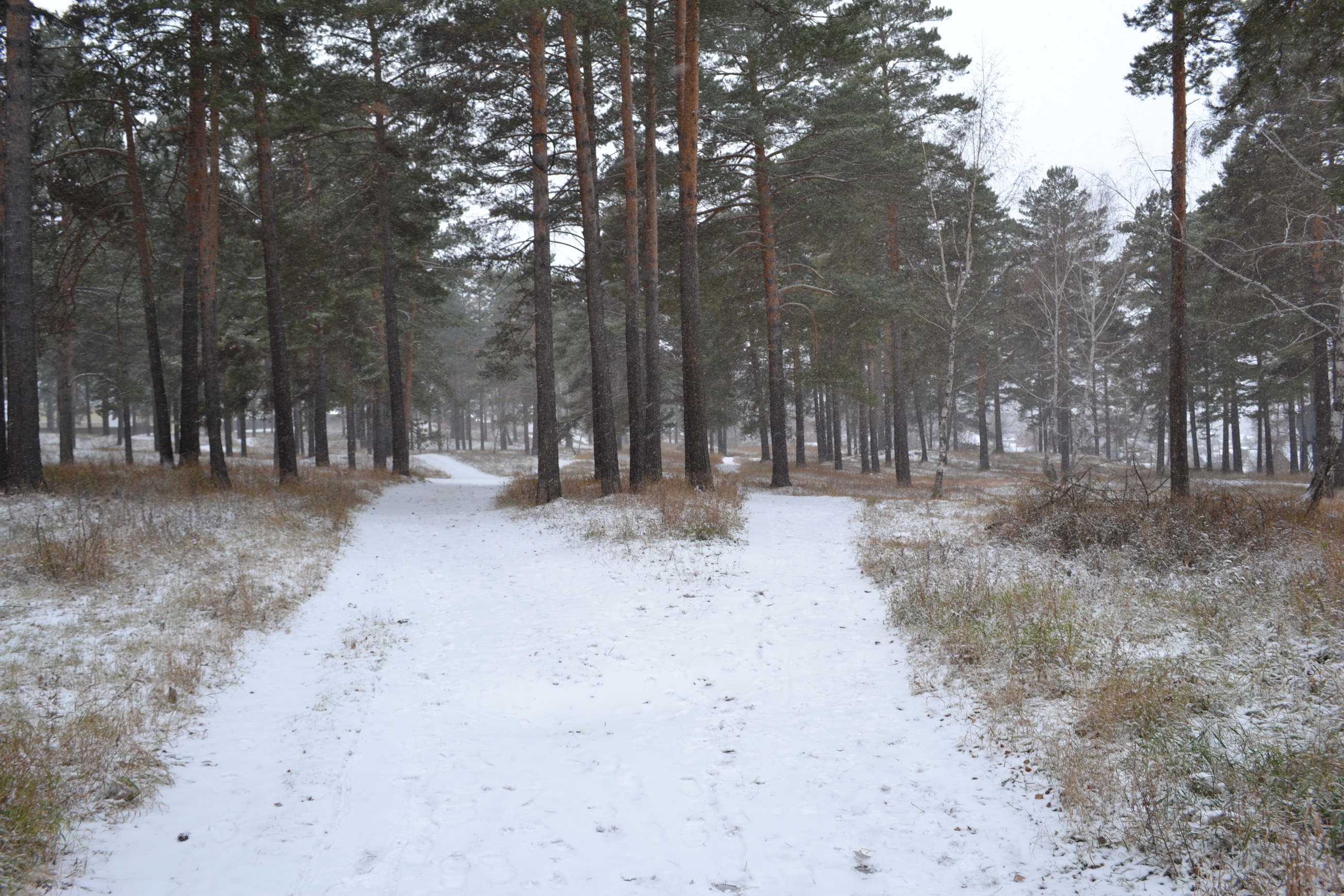 Дарошки раздваяйца)))))