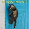 котэ
