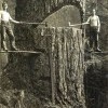 Дровосеки валят огромное дерево в Портленде, США. 1915 год.