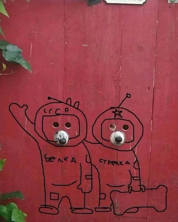 Белка и Стрелка