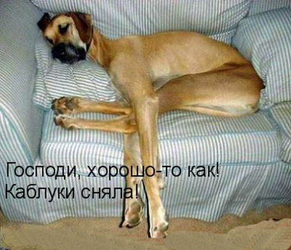 Без каблуков
