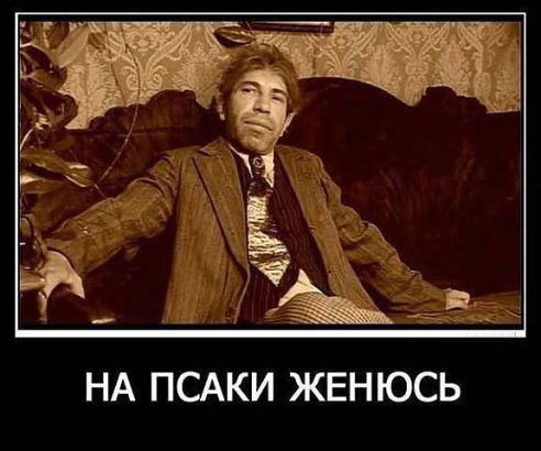 Жених