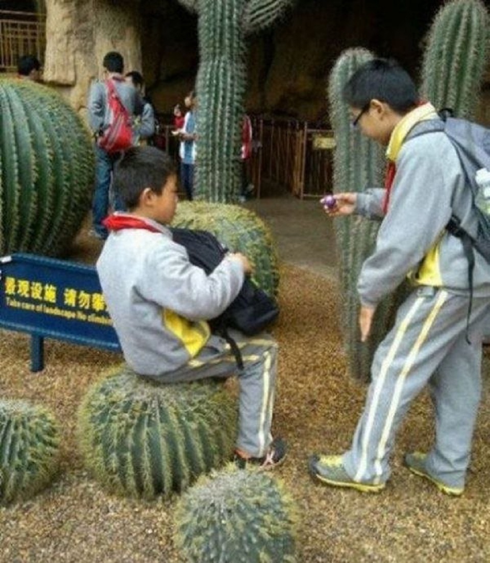 Кактус