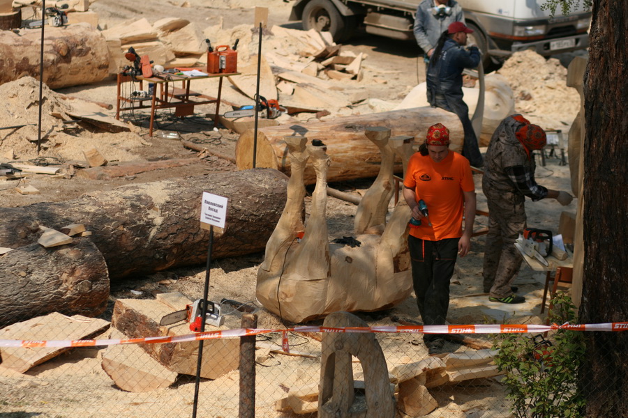 IMG 3564 новый размер