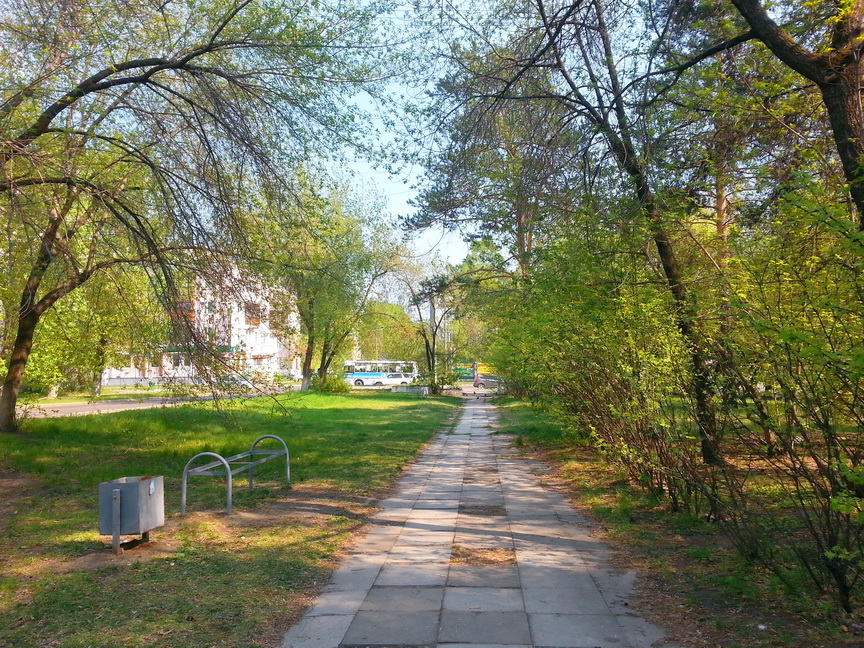 аллейка в 210м 20140518_170701