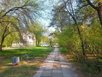 аллейка в 210м 20140518_170701