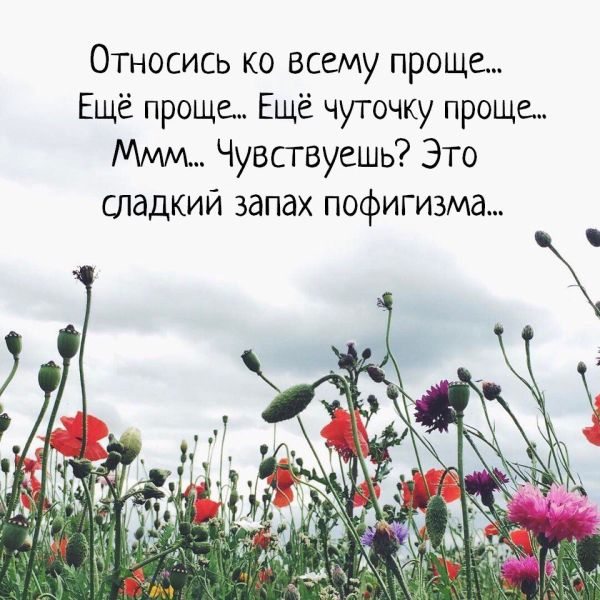 Запах пофигизма