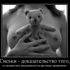 Сиськи Сиськи