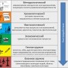 КОБ 6 приоритетов КОБ 6 приоритетов